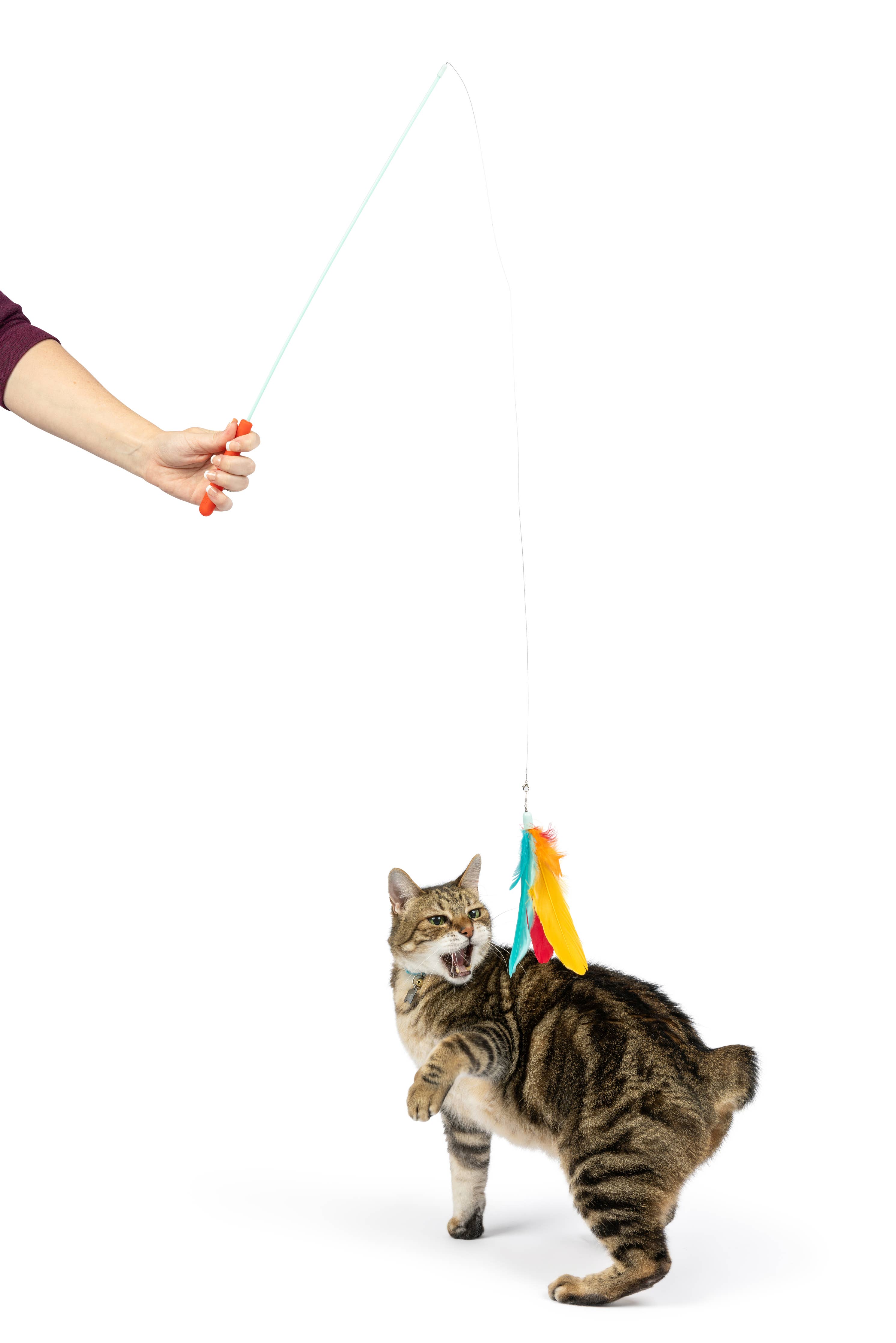 Huxley & Kent - Teaser Treatos Snacks Wand Cat Toy: One Size